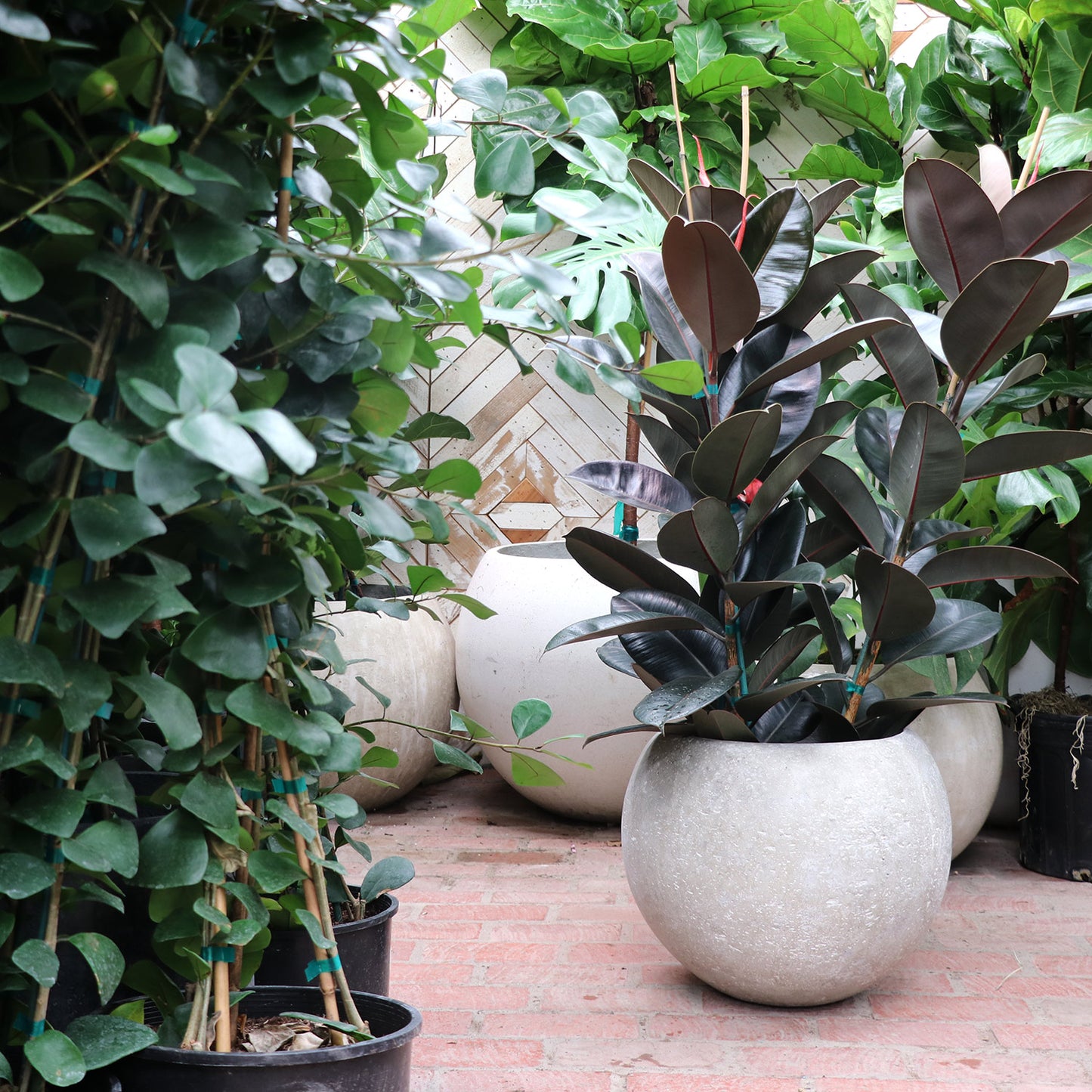 White 7 Day Planter | Small