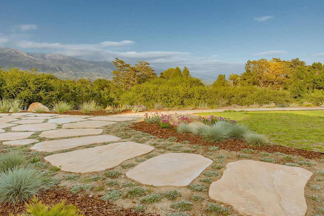 7 day nursery - santa barbara montecito landscaping